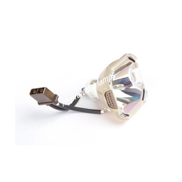 NEC GT2150p GT50LP Ή you̗pzvWFN^[pvjbgi