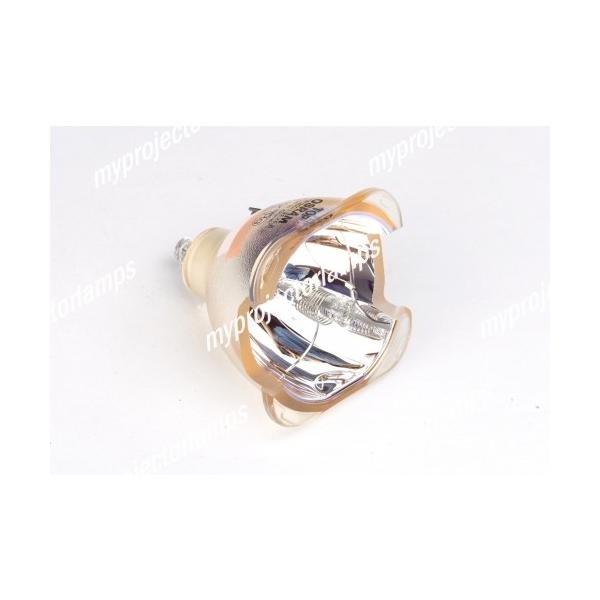 NEC NP101Gp 60002407 Ήou̗pvWFN^[pvjbgi