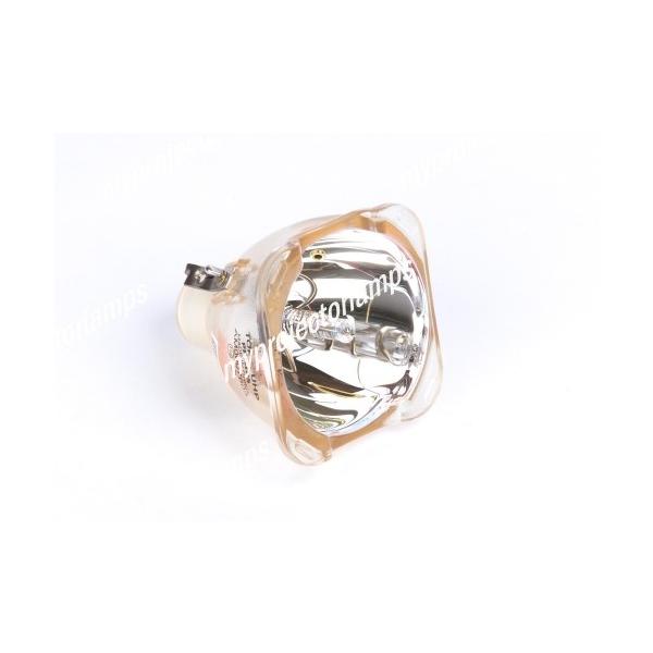 NEC U300Xp 60003130 Ήou̗pvWFN^[pvjbgi