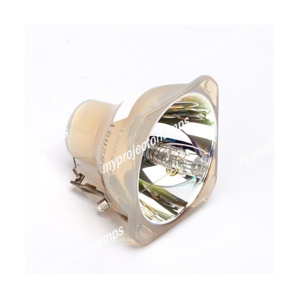 Optoma EP716MXp 807-3215 Ήou̗pvWFN^[pvjbgi