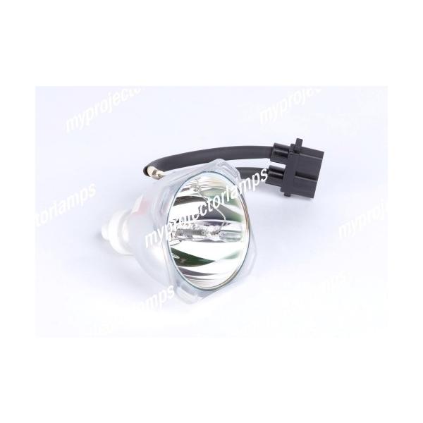 Optoma EzPro 738p�p 25169089 �Ή������o���u�̗p�v���W�F�N�^�[�����p�����v���j�b�g���i