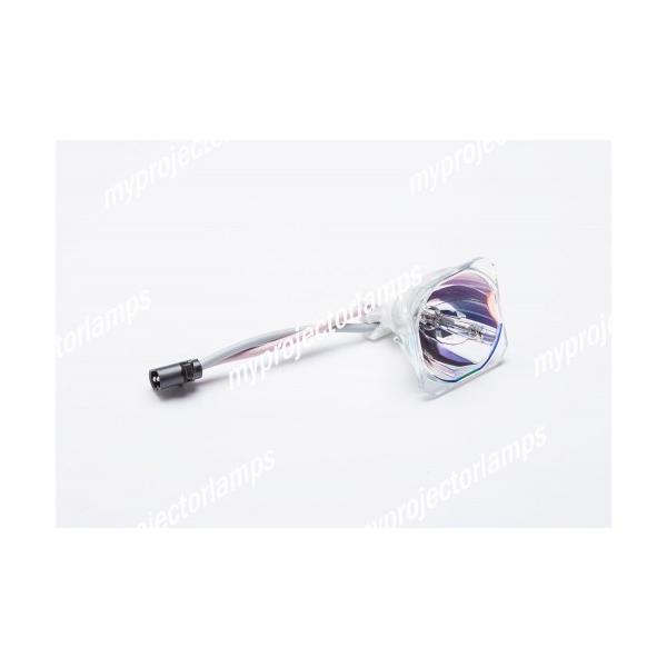 OPTOMA OP1250�p 5811100235 �Ή� �y�����o���u�̗p�z�v���W�F�N�^�[�����p�����v���j�b�g���i