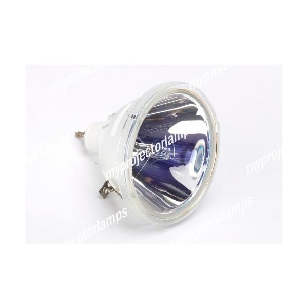 SANYO PLC-8805�p 610-265-8828 �Ή������o���u�̗p�v���W�F�N�^�[�����p�����v���j�b�g���i