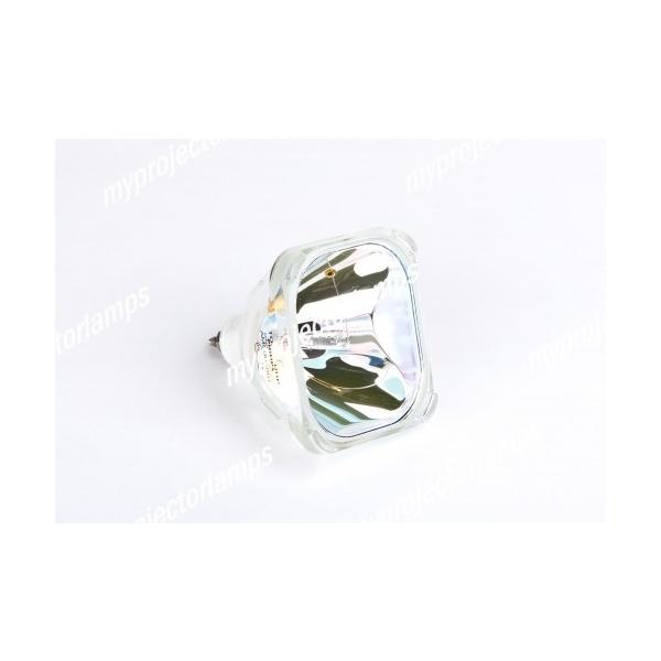 SANYO PLC-XU10E�p 610-278-3896 �Ή� �y�����o���u�̗p�z�v���W�F�N�^�[�����p�����v���j�b�g���i