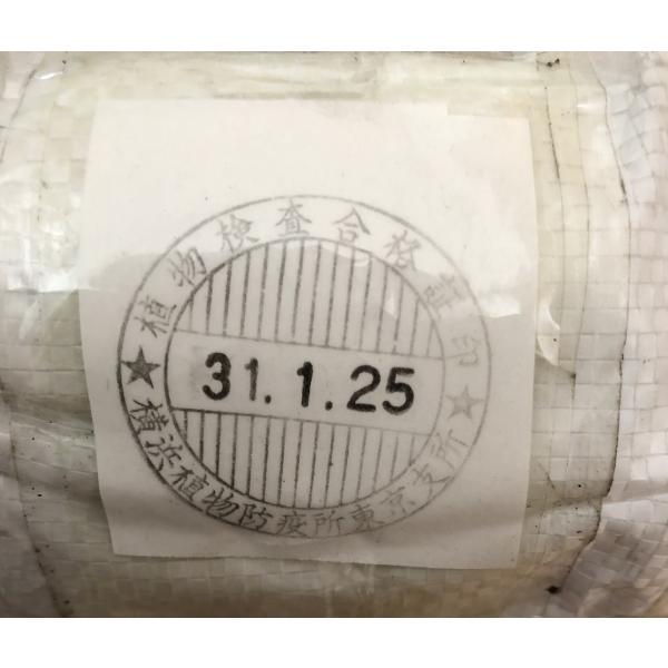 カンゾウ種子 ml 1000 00粒 お試し栽培用 超貴重なウラル甘草の種 送料無料 地方創成 新規事業 研究にいかがでしょうか Buyee Buyee 日本の通販商品 オークションの代理入札 代理購入