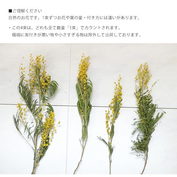 ハーバリウム スワッグ レジン 花材 小分け ドライフラワー ミモザ 国産 イエロー 黄 Buyee Buyee Japanese Proxy Service Buy From Japan Bot Online