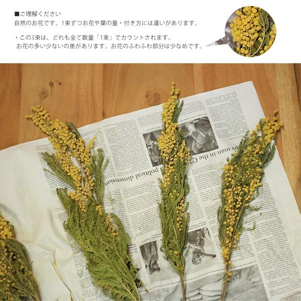 ハーバリウム スワッグ レジン 花材 小分け ドライフラワー ミモザ 花小さめ 希少 イエロー 黄 Buyee Buyee 提供一站式最全面最專業現地yahoo Japan拍賣代bid代拍代購服務 Bot Online