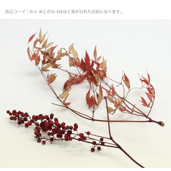 ハーバリウム スワッグ 花材 小分け ドライフラワー 南天 ナンテン 1枝 秋色 赤 Buyee Buyee Japanese Proxy Service Buy From Japan Bot Online