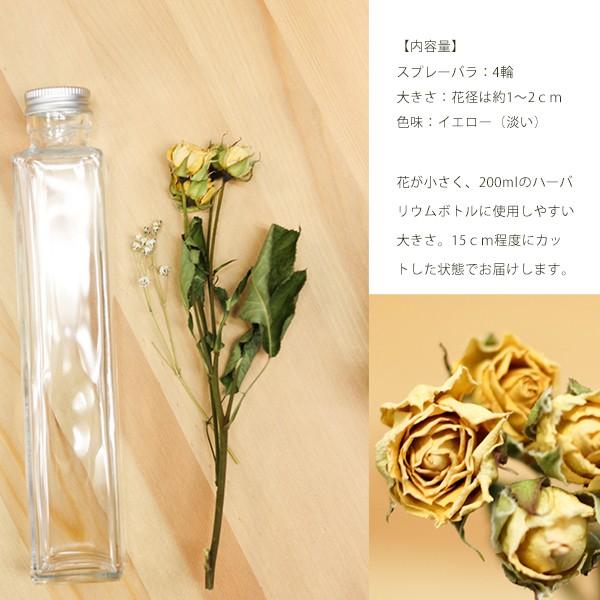 メール便可 ハーバリウム レジン 花材 小分け ドライフラワー スプレーバラ 薔薇 ローズ イエロー 黄 15cmカット Buyee Buyee 日本の通販商品 オークションの代理入札 代理購入
