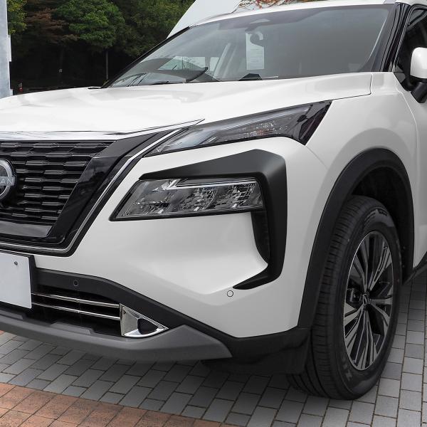 mr-store_mpflgn033-no