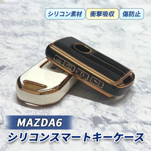 mr1_z-220-007