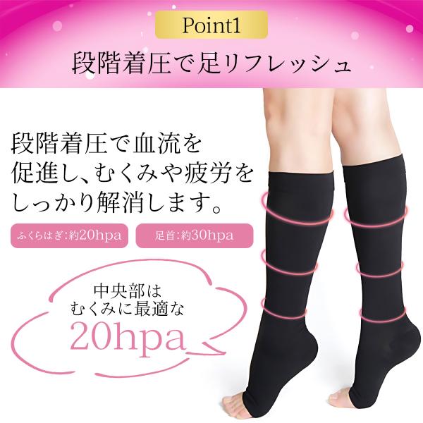 mrabbit-camera_lf000007_1_d_20241216123005