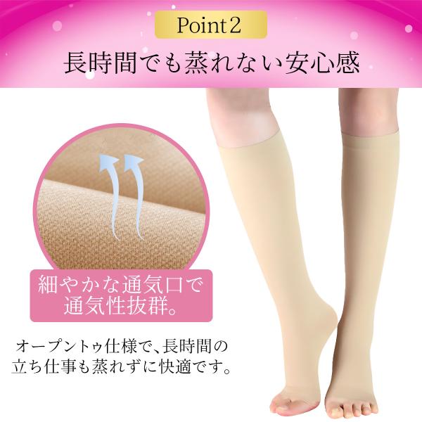 mrabbit-camera_lf000007_2_d_20241213155523