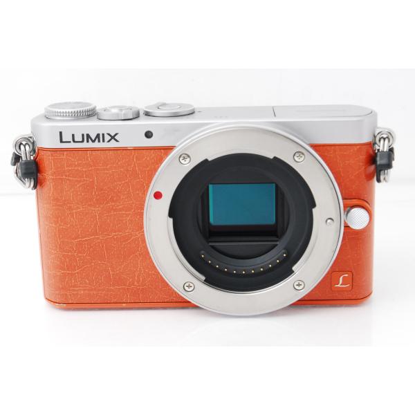 mrabbit-camera_m000353_1_d_20260324045037