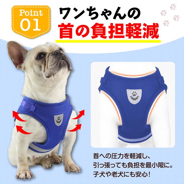 mrabbit-camera_p000002_1_d_20231130164245