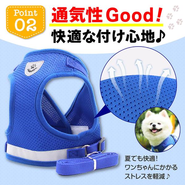 mrabbit-camera_p000002_2_d_20231130164246