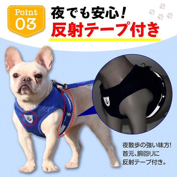 mrabbit-camera_p000002_3_d_20231130164247