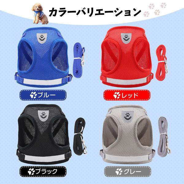 mrabbit-camera_p000002_4_d_20231130164248