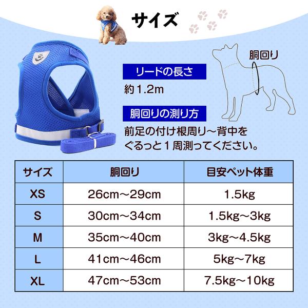 mrabbit-camera_p000002_5_d_20231130164249