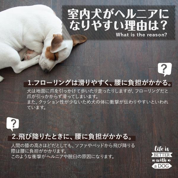 ドッグステップ ペット用階段 ヘルニア予防 耐荷重30kg 犬 ステップ 