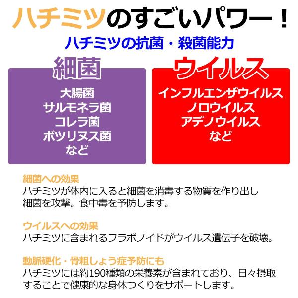 ハニーカンパニー オリジナル マヌカハニー Umf10 250g スイートネイチャー ハチミツ 抗菌 ウイルス 殺菌 細菌 対策