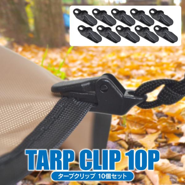 AEghAp egNbv ^[vNbv Nbv [v egŒp ߋ Lvpi  Lv ֗ObY Ԓ 10Zbg