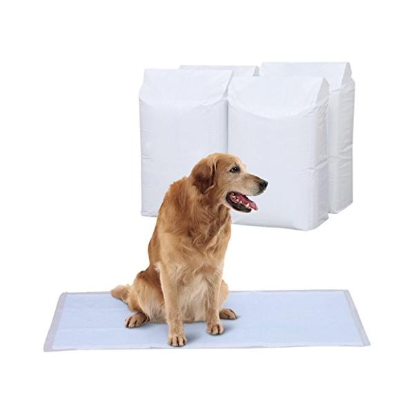 他サイト： アイリスオーヤマ ペットシーツ 薄型 1回使い捨て 抗菌 消臭 中型犬・大型犬 ダの商品画像