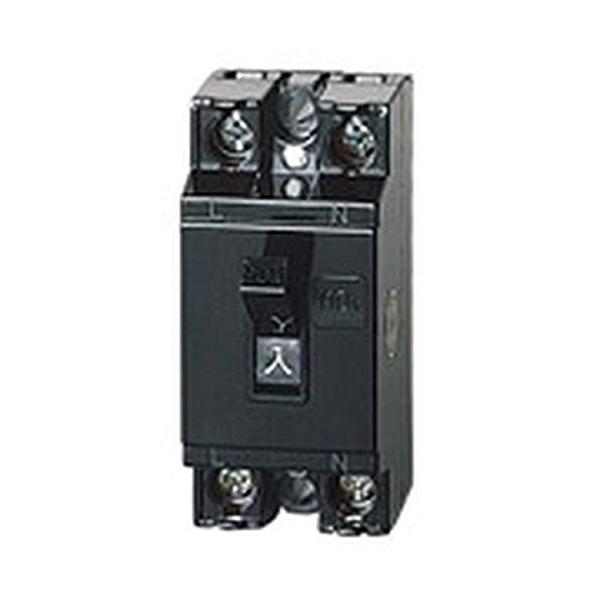 他サイト： パナソニック(Panasonic) 安全ブレーカ HB型 2PIE 30A BS1113の商品画像
