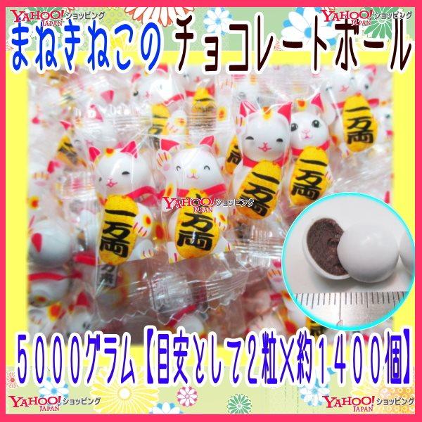 @ndΈ@TOOOOyڈƂĂQ×PSOOz@ ܂˂˂̃`R[g{[ y`Rz×1܁@@yfuz