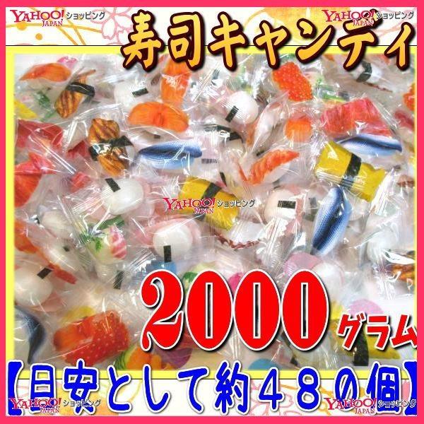 YC OEΈ@QOOOOyڈƂĖSWOz @ iLfB ×1܁@@yfuzyi͕ʓrjz