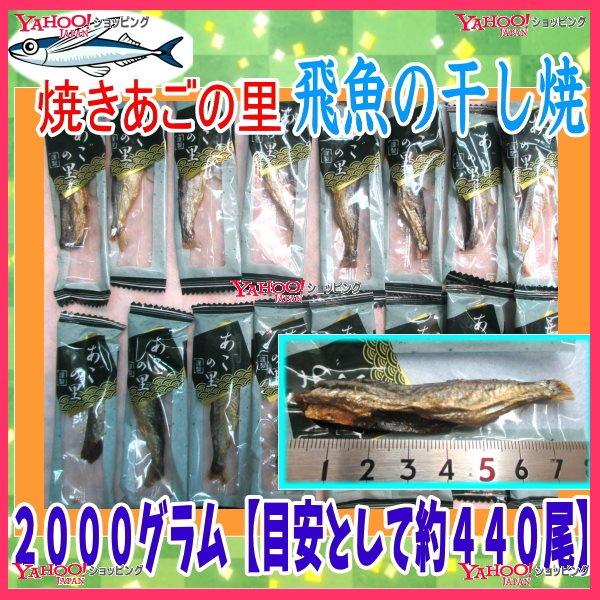 大注目商品 おかし企画 石井 ２０００グラム 目安として約４４０個 個包装 焼きあごの里 飛魚の干し焼き とびうお 飛び魚 トビウオ 1袋 税 Fu 直売本物 Lin2 Agtbilisim Com