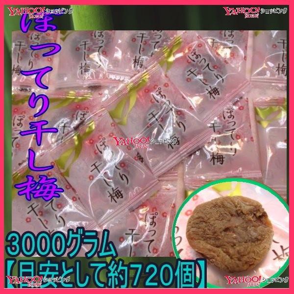 ぽってり 1袋 税 目安として約７２０個 干し梅 送料無料 北海道 沖縄は別途送料 Fu Oeおかし企画 Oe石井 ３０００グラム 干し梅