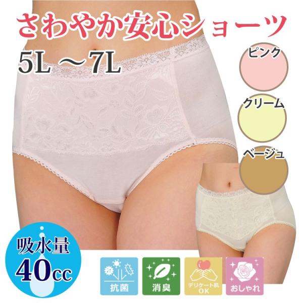 女性用 尿漏れパンツ 失禁パンツ 尿もれショーツ 大きいサイズ 40cc おしゃれ クリックポスト対応可 さわやか安心ショーツ (1枚) 5L