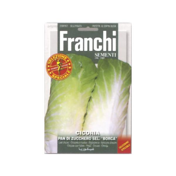■ 読みパン・ディ・ズッケロ セレツィオーネ・ボルカ※「パン・ディ・ズッケロ」は「砂糖パン＝甘いパン」を意味するチコリー品種です。シュガーローフ型チコリー「ボルカ」は、縦長にしっかり結球し、見た目も味もハクサイに似たやさしい風味が特長の中晩...