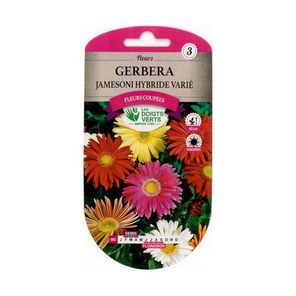 種まき:3-5月開花:7-10月粒数：0.2g　発芽率：89％長くしっかりとした茎に直径8-10cm程度のデージーのような形の花が付きます。色は薄いパステル系から濃い鮮やかな色まで様々な花を咲かせます。花瓶にいけても花もちが大変良いため、主...