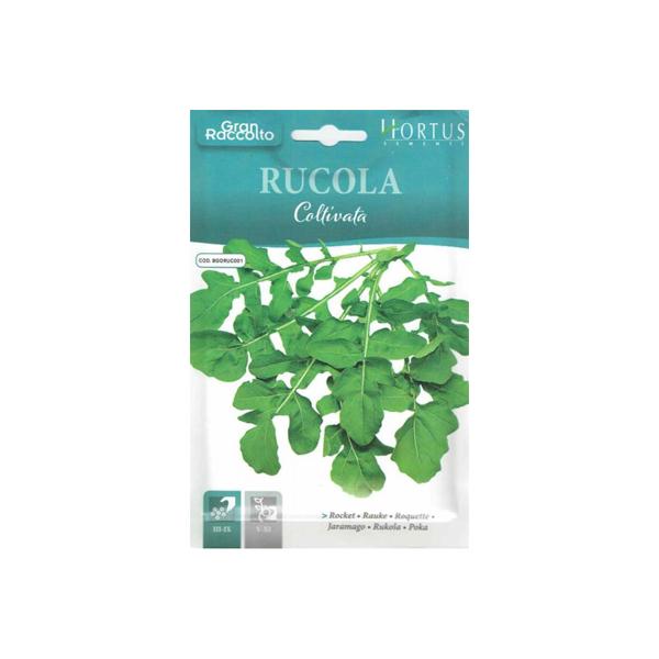 ルッコラ種まき：2-5月・9-10月収穫：4-7月・11-12月イタリアンサラダには不可欠の葉物です。ゴマのような風味が独特で、生ハムや白身魚のカルパッチョなどにも非常によく合います。サラダ、前菜、パニーニサンド、パスタやピッツァのトッピン...