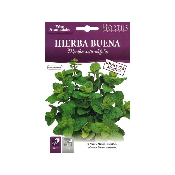 猛暑の夕暮れに、まず一杯目に飲みたいキューバのカクテルモヒートに入れるミントとして、あまりにも有名な品種です！イエルバブエナはラテン地域では馴染みの古くから栽培されている品種で、葉には凝縮されたミントの心地よい芳香があります。花を咲かせると...