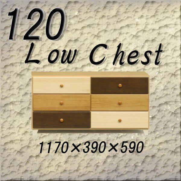 [`FXg 120-3i ^X [`FXg Y i V l炵 ubNtCf[ nEB v[g