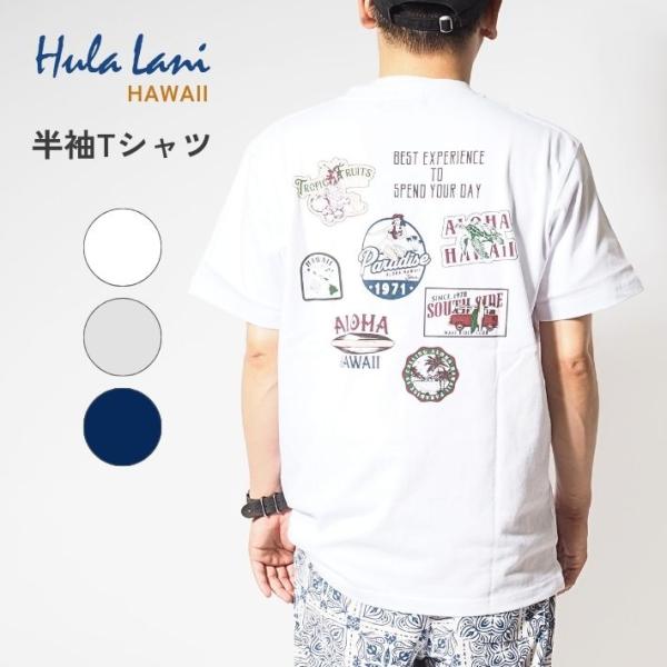 ms-sanshin_25ss03bt01