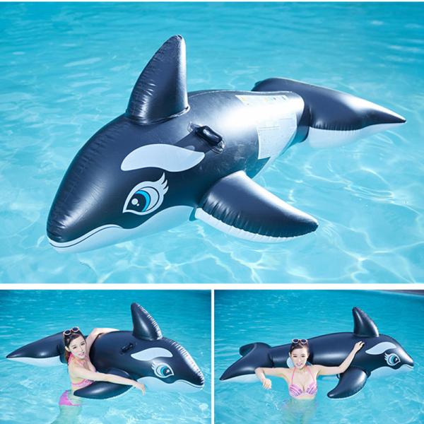 シャチ みんな探してる人気モノ シャチ