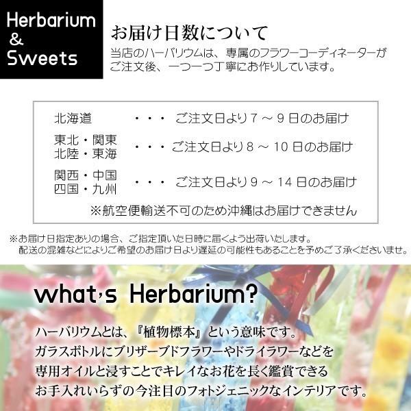 ハーバリウムスイーツセット赤黒MIX