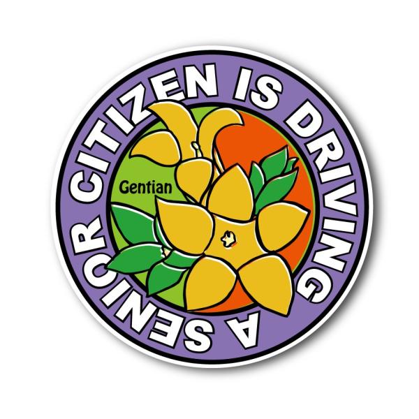 自動車用 高齢者マーク ランキングtop5 人気売れ筋ランキング Yahoo ショッピング