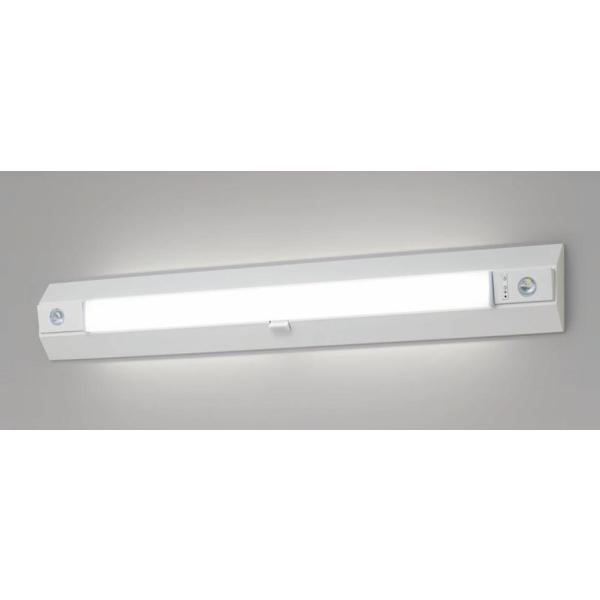 Panasonic（パナソニック） NNCF43255 LE9 非常用照明器具 階段灯 天井