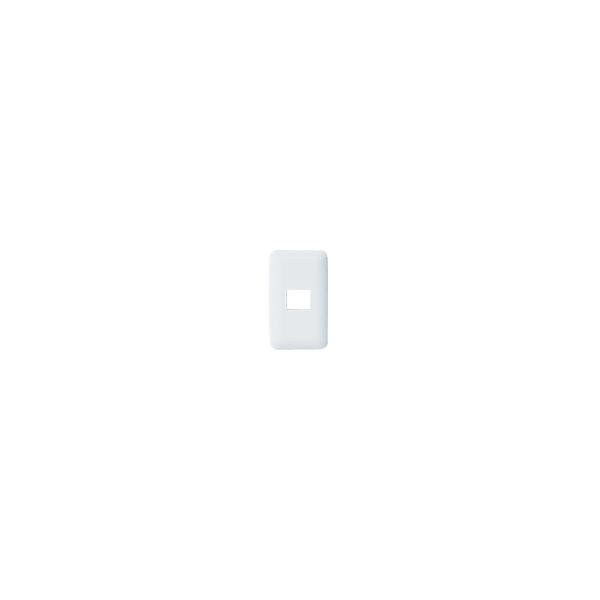 �p�i�\�j�b�N WTF7001W �R���Z���g�v���[�g 1�A�p 1�R�p ���E���h �z���C�g
