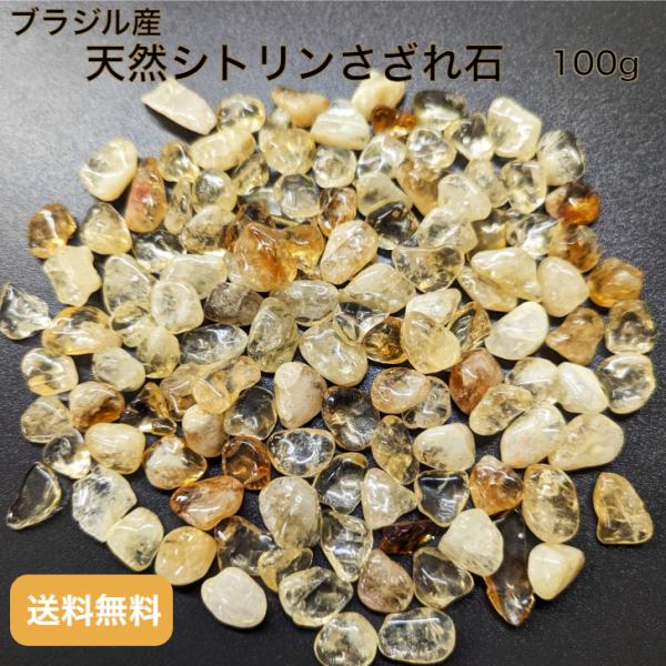 msmonoshop_bss100