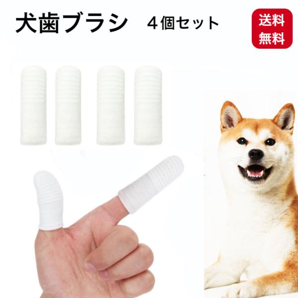 犬歯ブラシ ４個セット 猫歯ブラシ 指ブラシ 犬 猫 ペット用品
