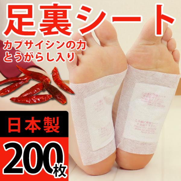 V[g tV[g hq 200 ققtV[g { tbgPA ܂Ƃߔ p (101085) (ms)