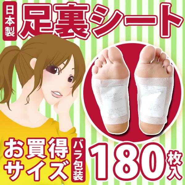 V[g tV[g tV[g 180  V[g bNXV[g { ܂Ƃߔ p (60027) (ms)