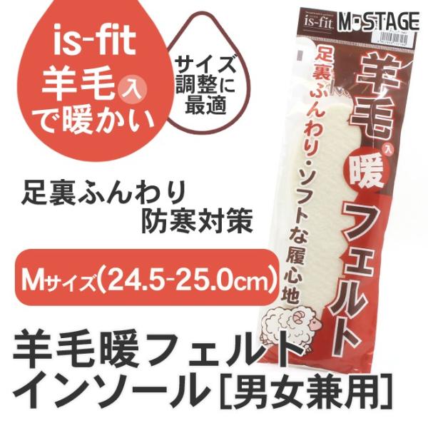 ~ h rђg tFgC\[ MTCY(24.5`25.0cm) ӂ \tgȗSn  jp is-fit