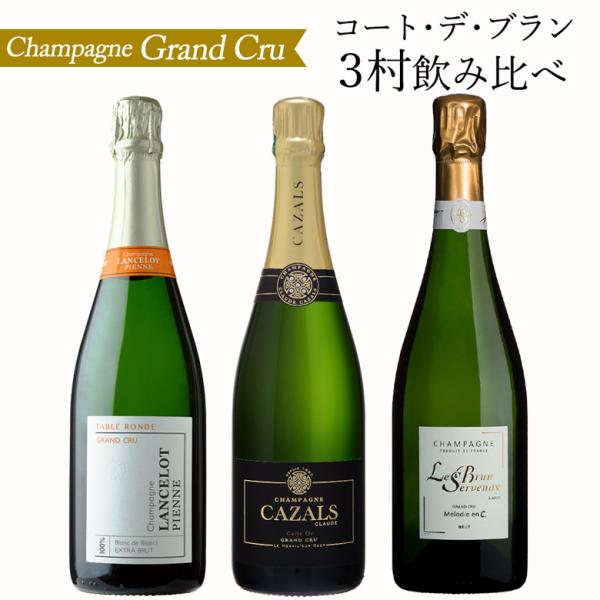 シャンパーニュ グランクリュ 南部 コートデブラン の3村 3本セット
